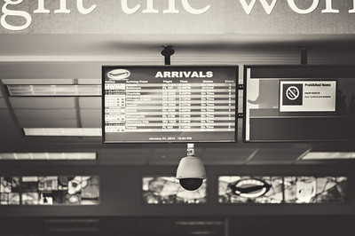Flight Information, Cherry Grapes Photography