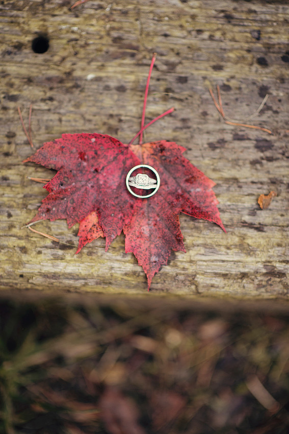 Hocking Hills, wedding day, wedding photography, wedding photographer Dayton, Ohio, marriage, gorgeous, fall, autumn, hills, Ohio wedding, Adam, Kelly, beautiful, stunning, Cincinnati wedding photographer, Columbus wedding photographer, photography